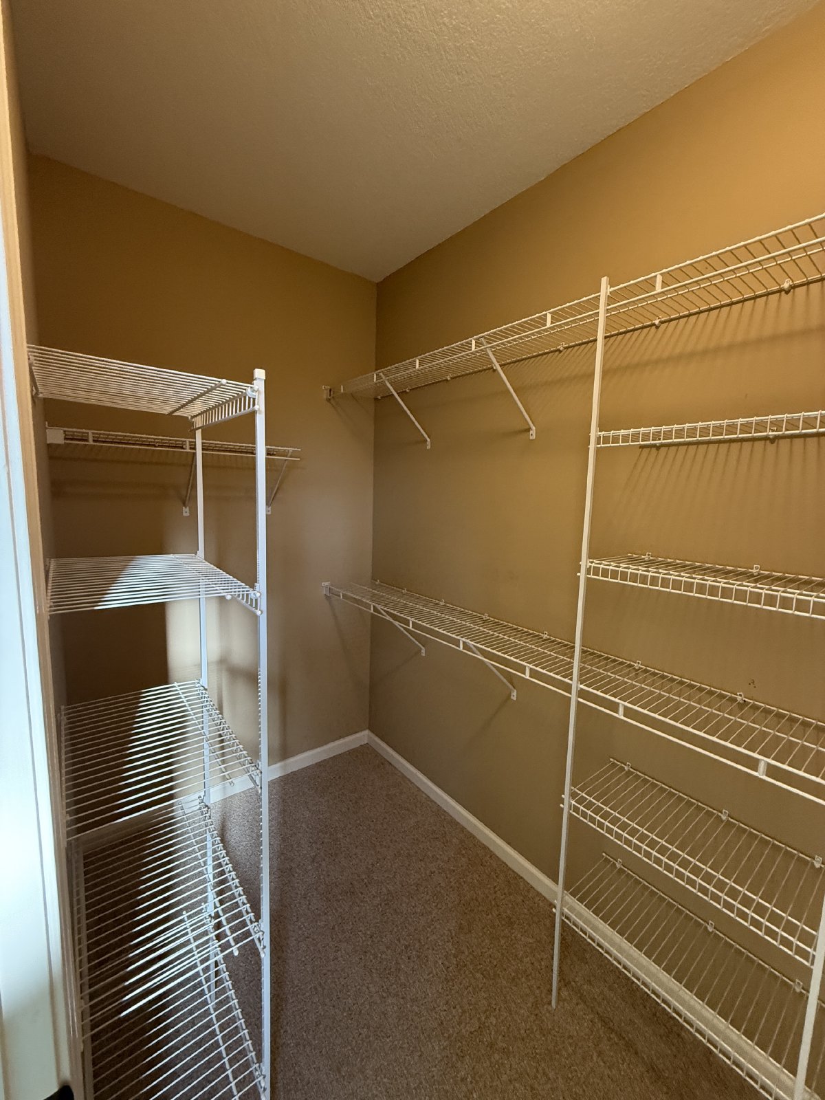 Bartlett Rental Home 4 Bed 3 Bath property image