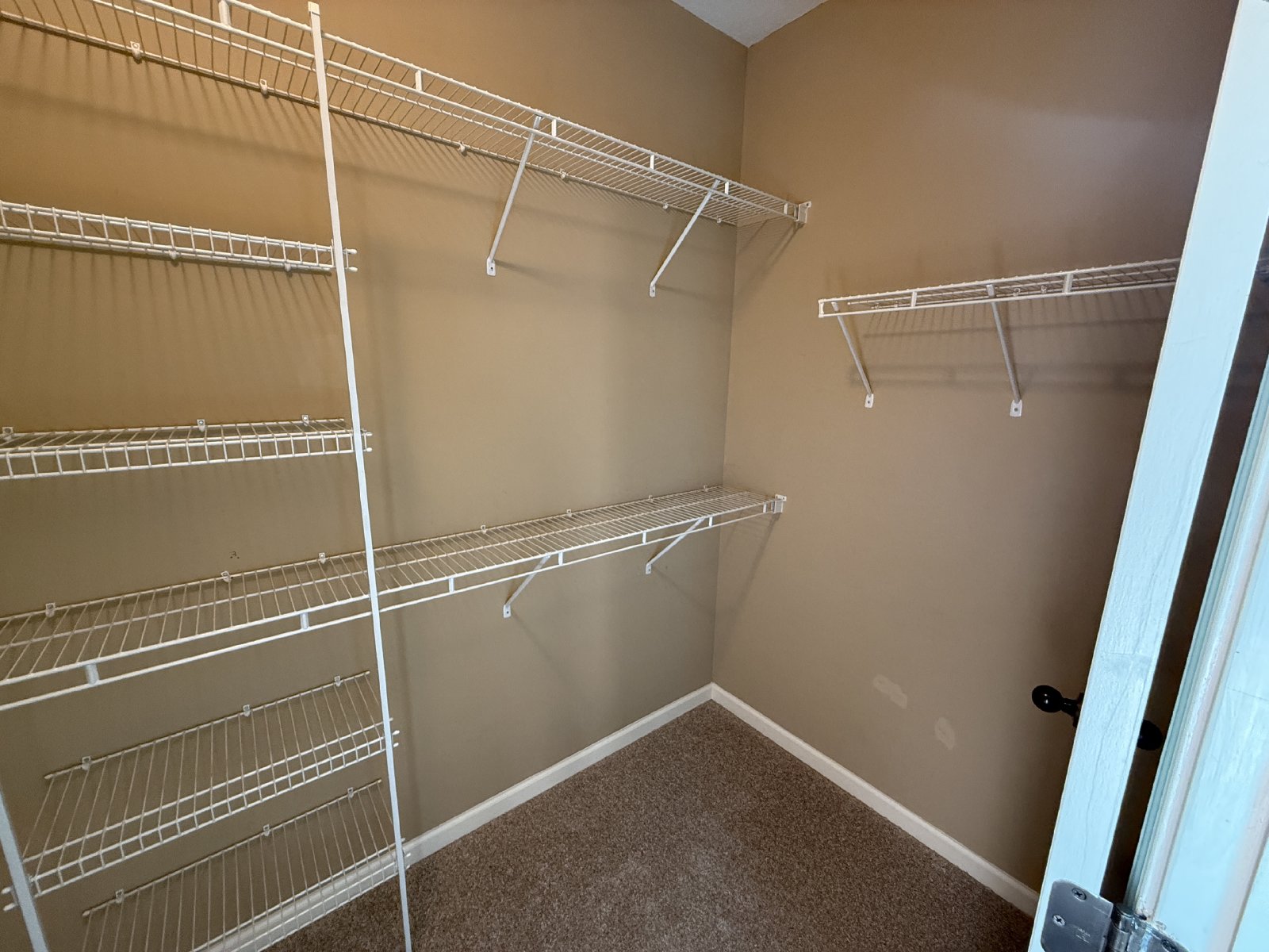 Bartlett Rental Home 4 Bed 3 Bath property image