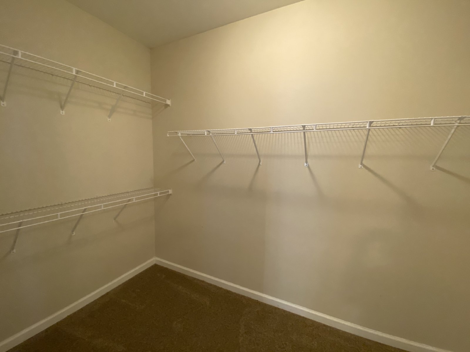 Large & Spacious 5 Bedroom Bartlett Rental Home property image