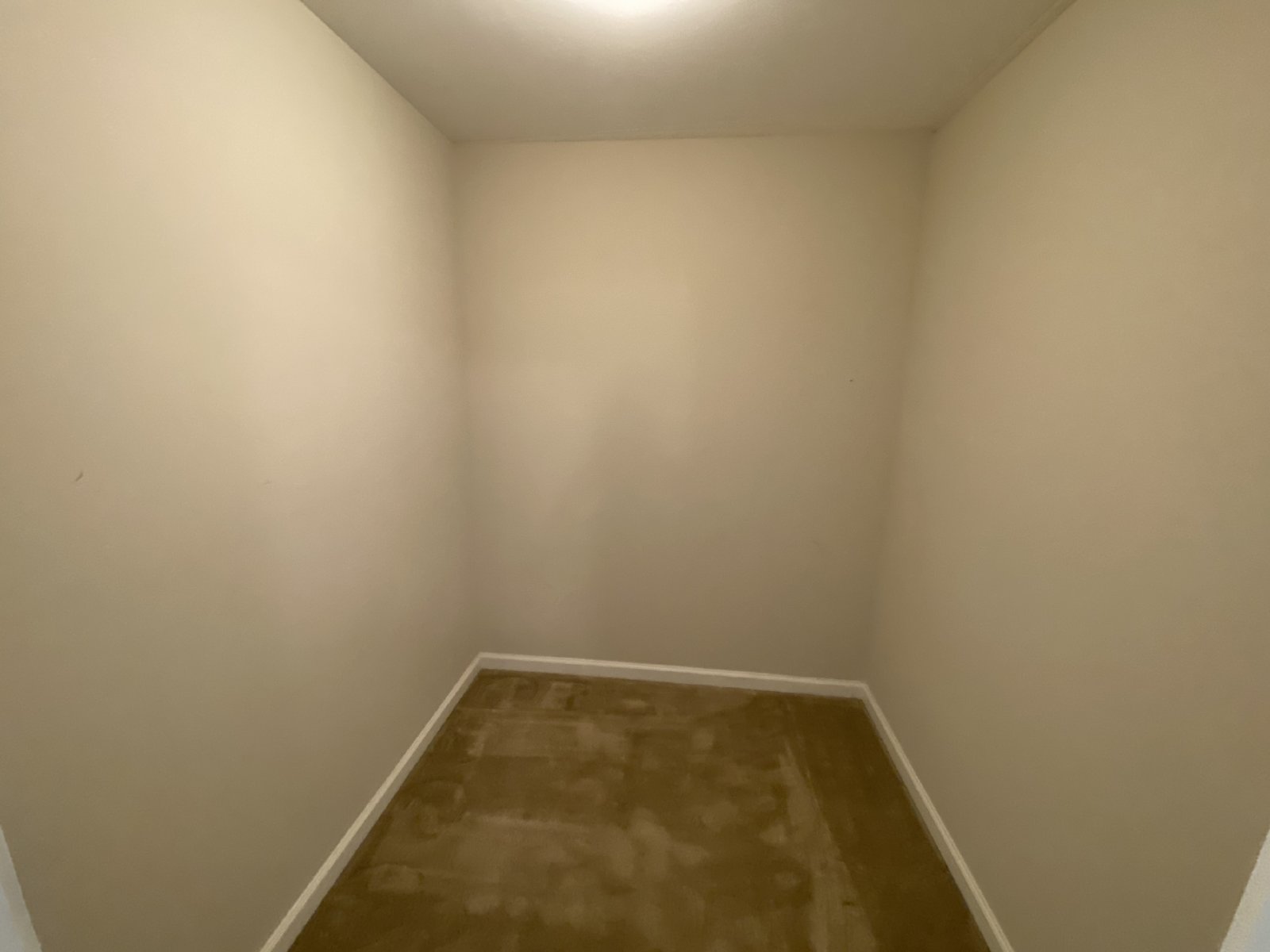 Large & Spacious 5 Bedroom Bartlett Rental Home property image