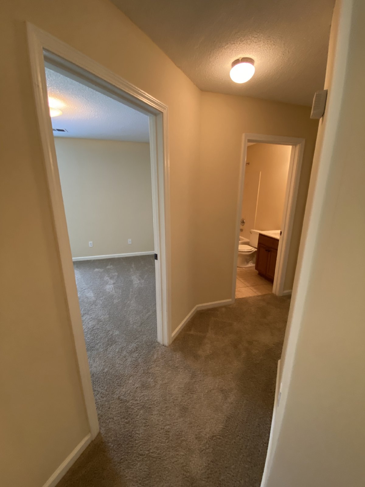 Gated Community - 3 BR / 2 BA Cordova Rental Home property image