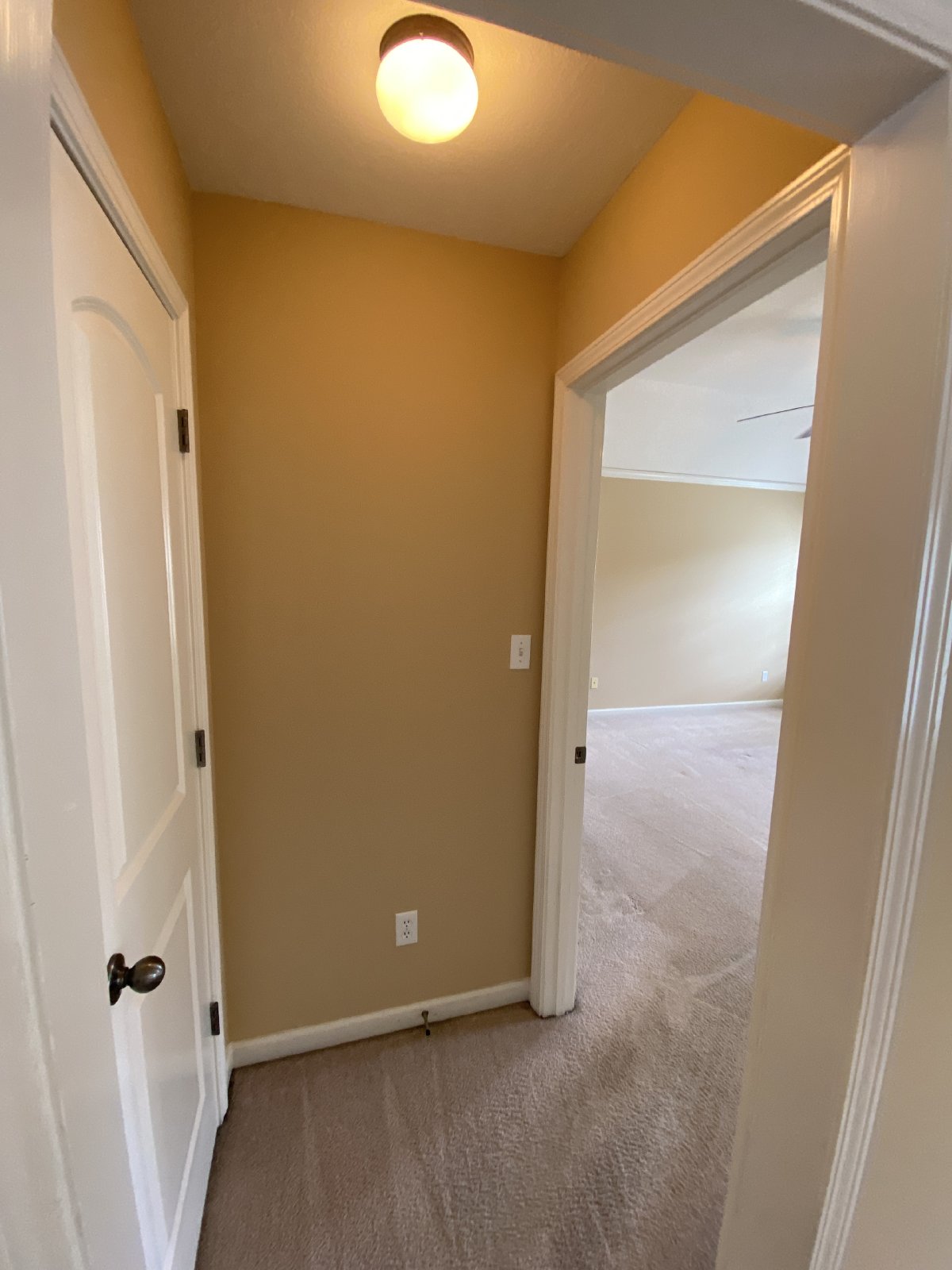 BARTLETT RENTAL HOME 3 BEDROOM 2 BATHROOM WITH FENCED BACKYARD property image